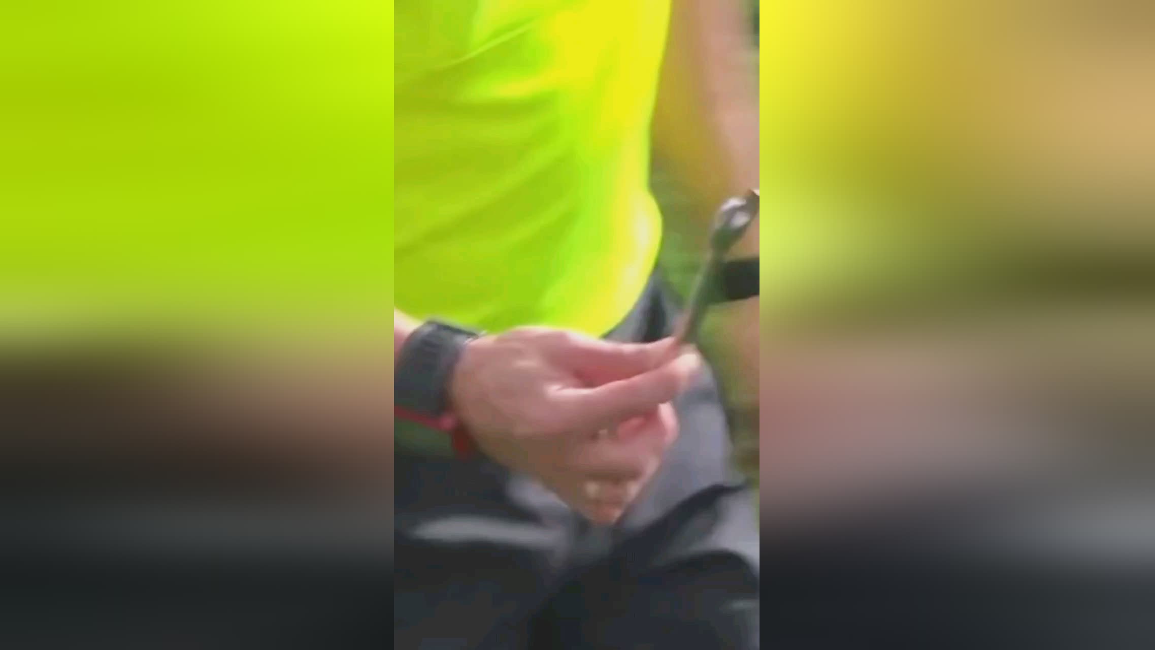 发了关于当