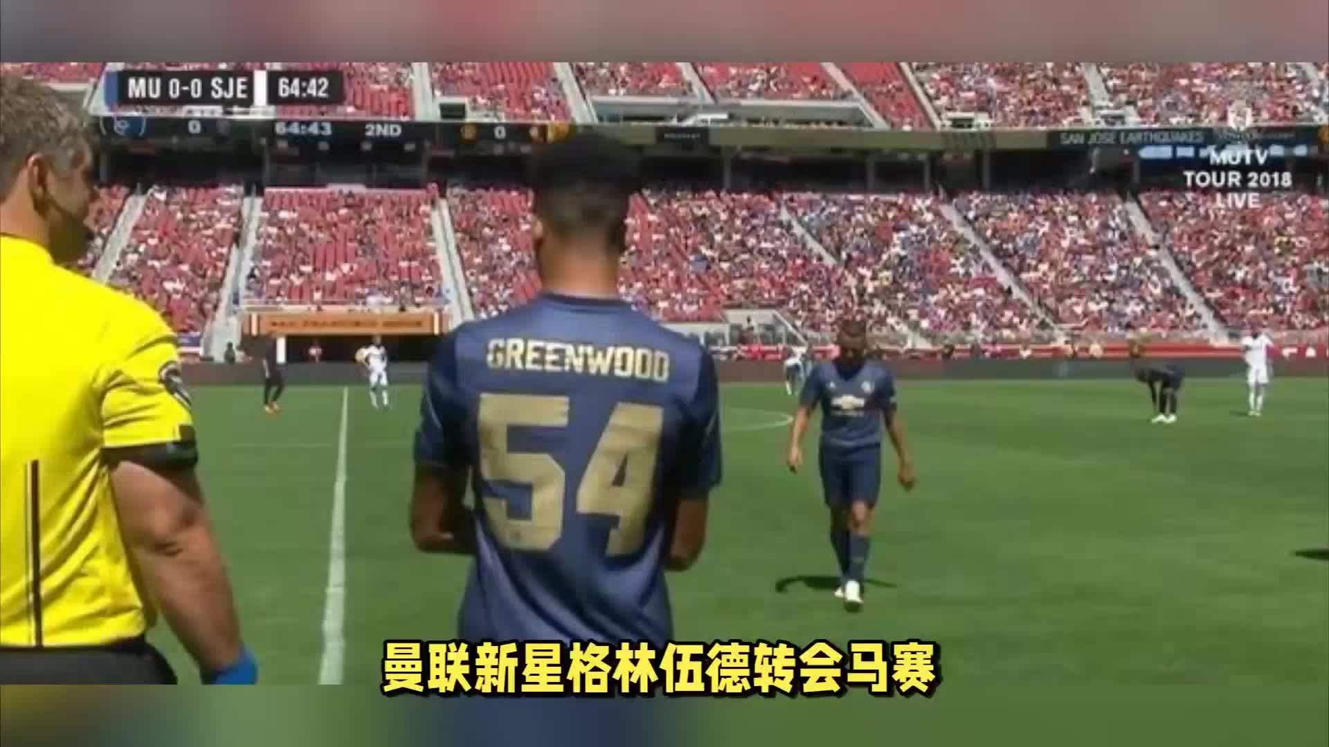 数后备人